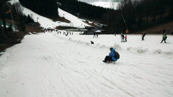 Rodeln in Winterberg (03/2017)