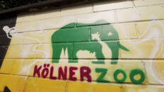 Kölner Zoo mit Domenik und Hip Hop