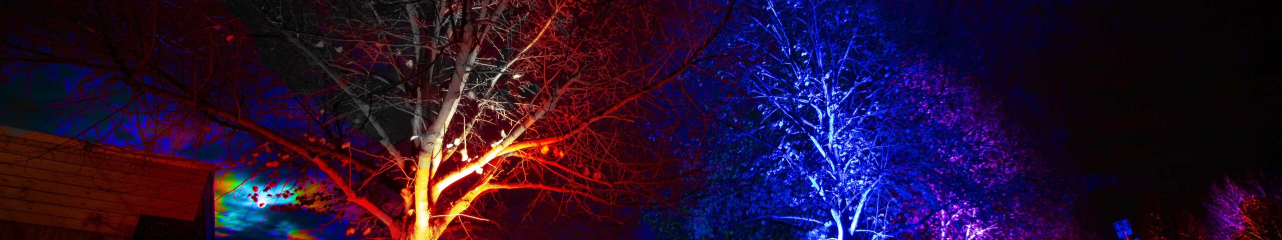 Herbstlicher 2017 im Brückenkopfpark Jülich