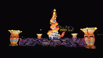 China Light Festival im Kölner Zoo