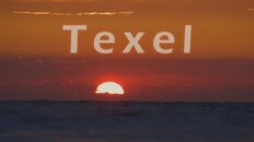 Some Days On Texel