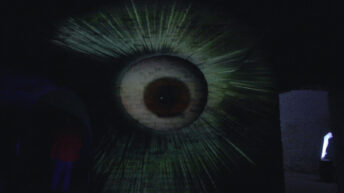 Herbstlichter 2019 im Brückenkopfpark Jülich