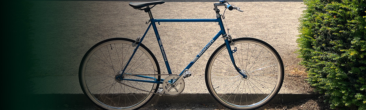 Singlespeed/Fixed Gear